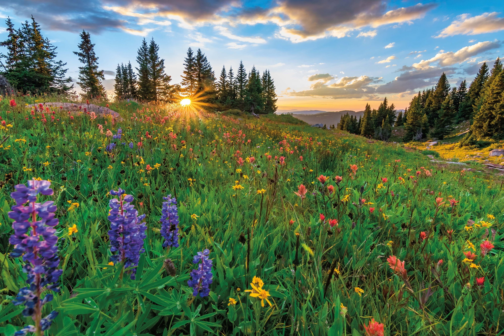 10 Attainable Alpine Hikes 10 Attainable Alpine Hikes