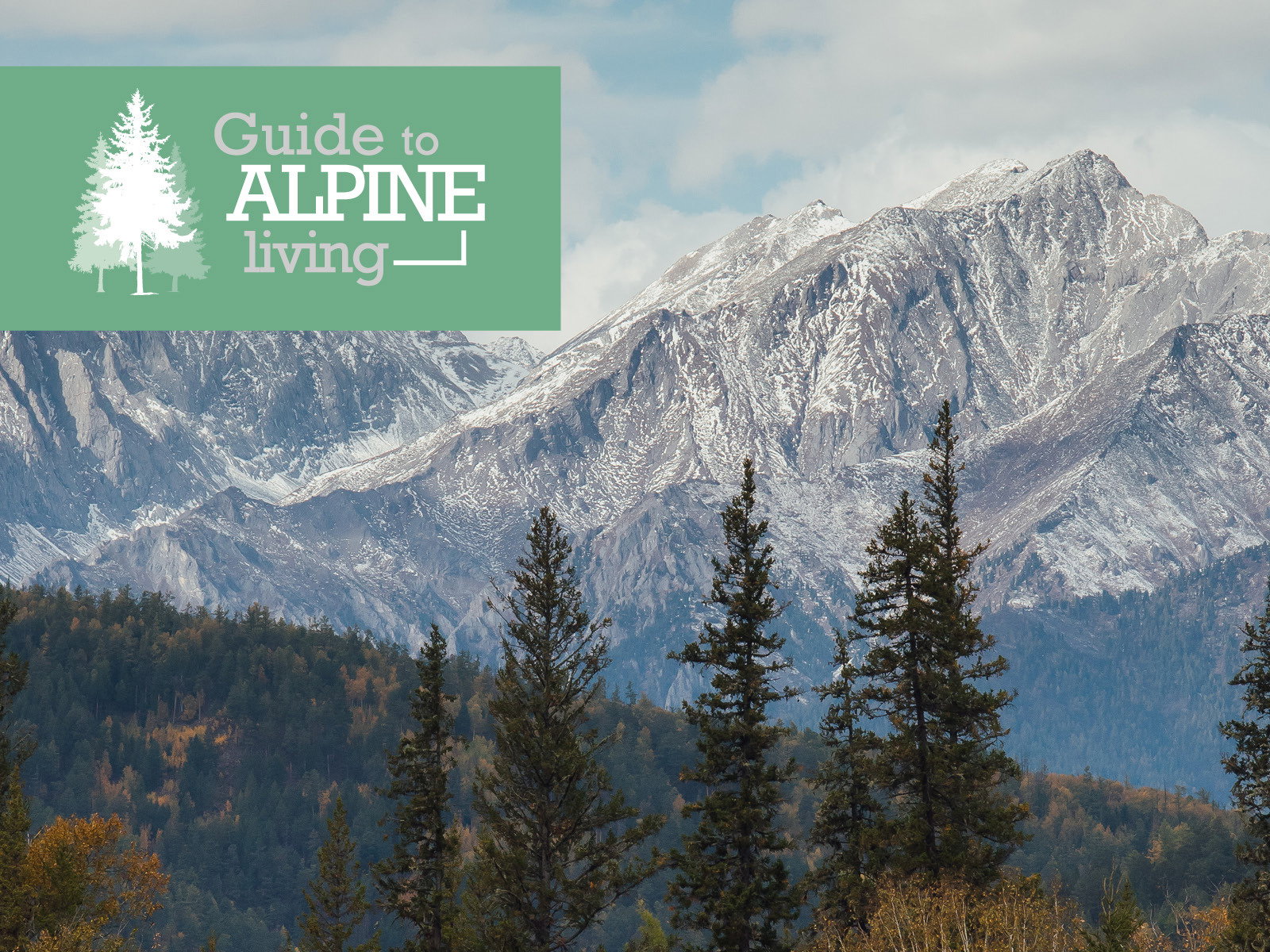 Guide to Alpine Living 2026 Guide to Alpine Living 2026